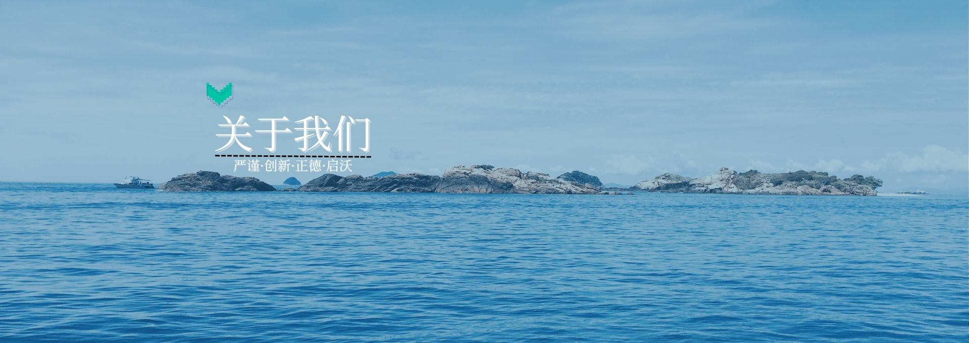 关于我们
